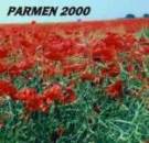 Parmen2000
